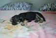 XUXU, 3 meses