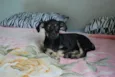 XUXU, 3 meses