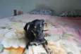 XUXU, 3 meses
