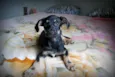 XUXU, 3 meses