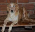 Elke