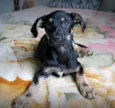 XUXU, 3 meses