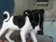 nao tem