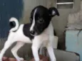 nao tem