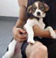 Nina