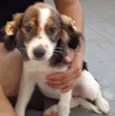 Nina