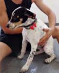 Pepa