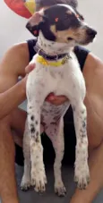 Pepa