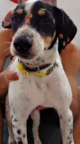 Pepa