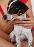 Pepa