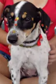 Pepa
