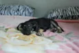 XUXU, 3 meses