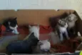 NAO POSSUI