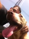 Sam
