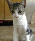 Marie