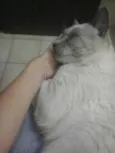 Nick