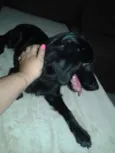 Lola 