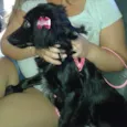 Lola 
