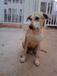 Amarelo