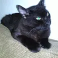 Romeu
