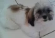 MALU