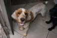 marley