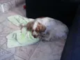 marley