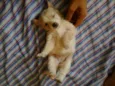 magy