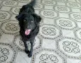 Neguinho