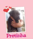 Pretinha, Prince , 