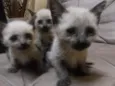 Lana,Jesus,Maria