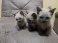 Lana,Jesus,Maria