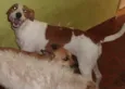 Nina