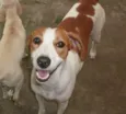 Nina