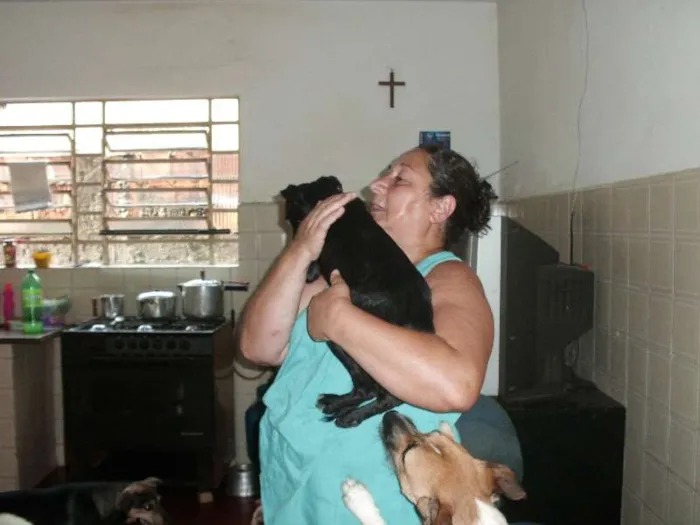 Cachorro ra a SRD idade 3 anos nome Terry