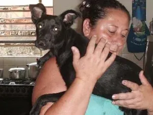 Cachorro raça SRD idade 3 anos nome Terry