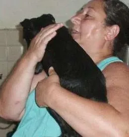Cachorro ra a SRD idade 3 anos nome Terry