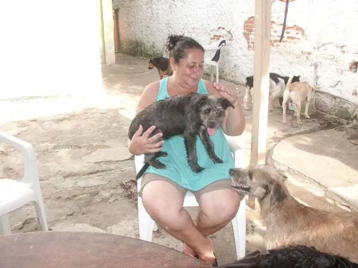 Cachorro ra a SRD idade 2 anos nome Monique