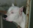 Lua