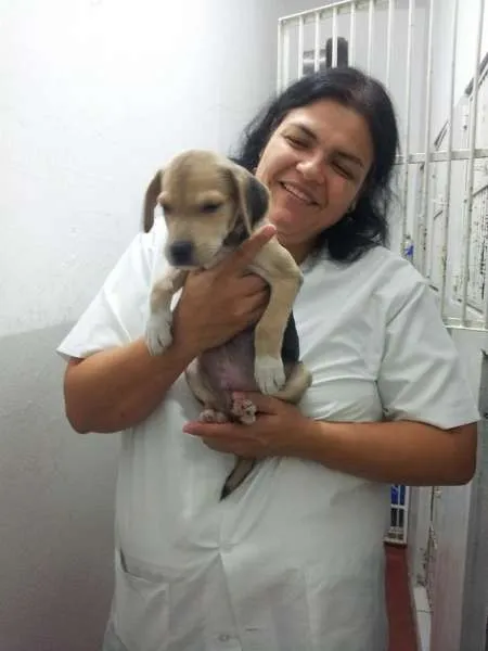 Cachorro ra a SRD idade 2 a 6 meses nome Me adota!