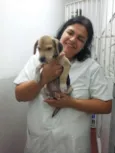 Me adota!