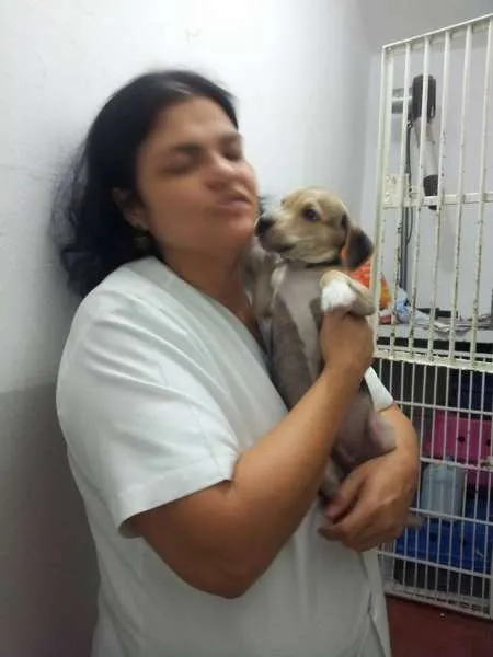 Cachorro ra a SRD idade 2 a 6 meses nome Me adota!