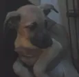 nao tem