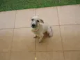 Mali