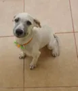 Mali