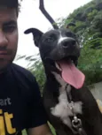 Loki