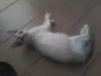 Fred