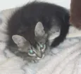 TUTU