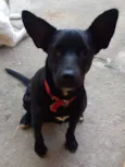 Neguinha