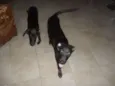 Lupita e Lupercio
